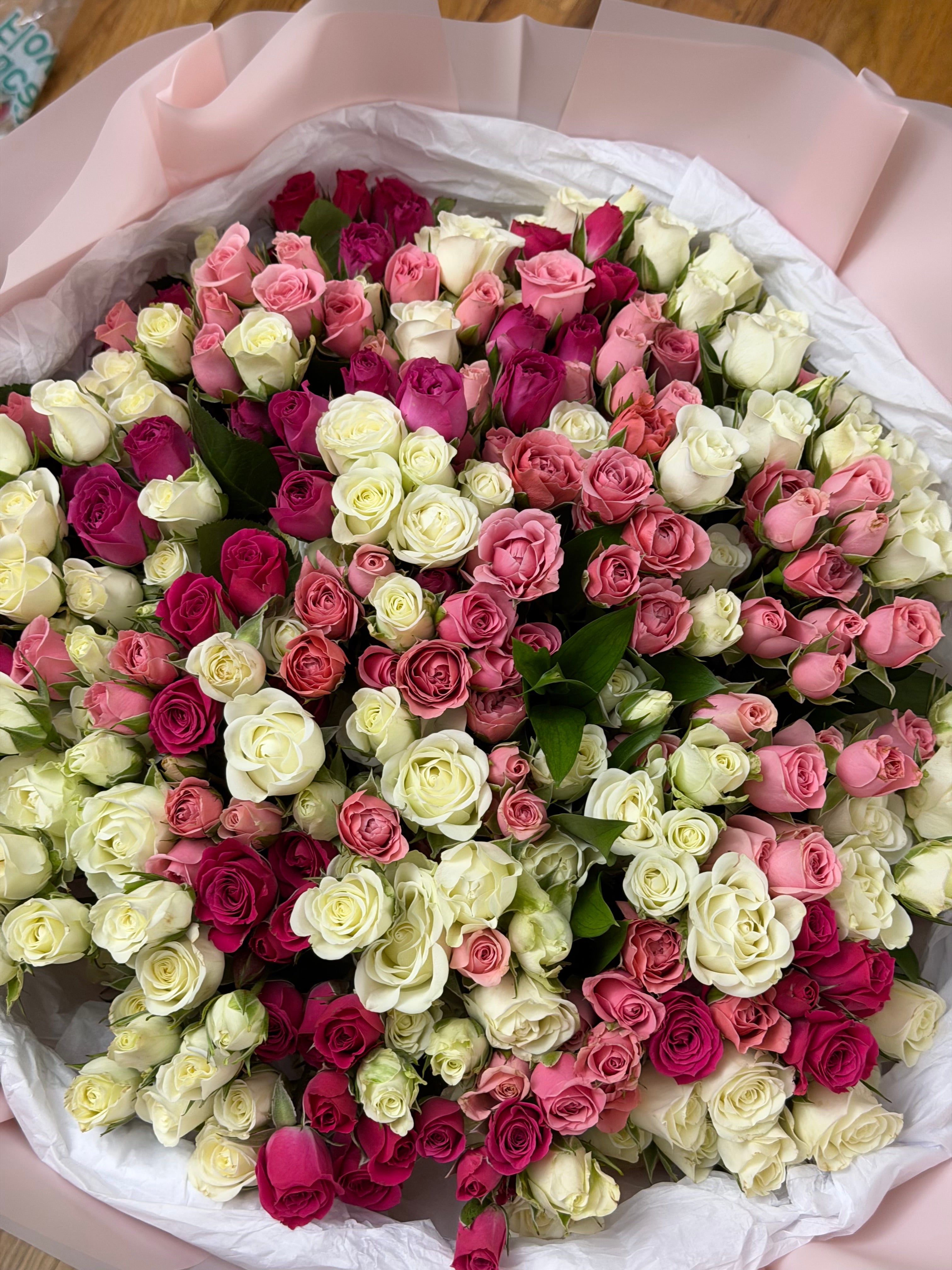 Spray rose’s expression